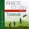 Tüskevár - Hangoskönyv (MP3)